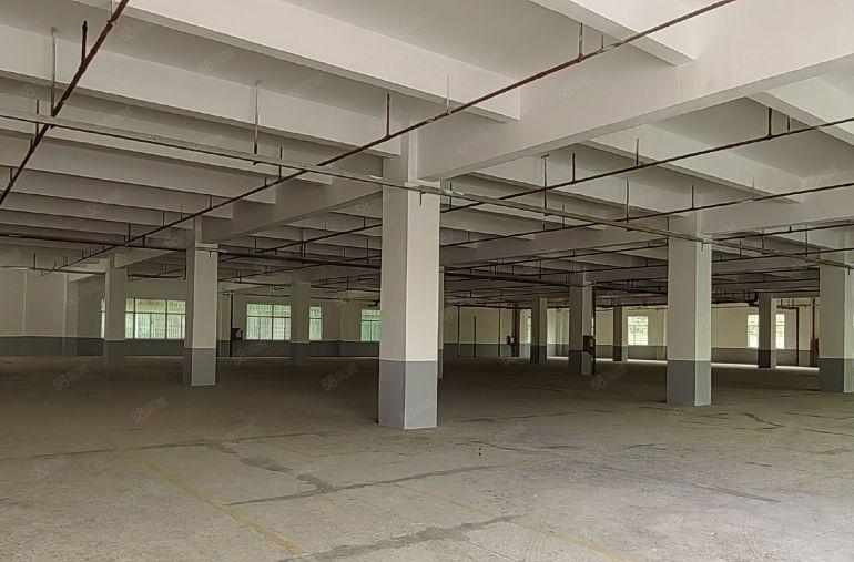 原房东直租坪山龙田莹展大型工业园3楼3400平高4.8米