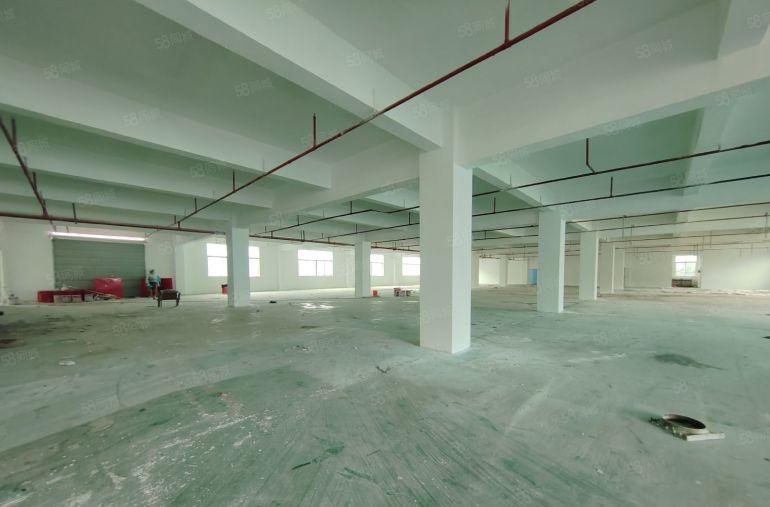 业主急租！2000平起租 5000平方标准厂房 年前低价租