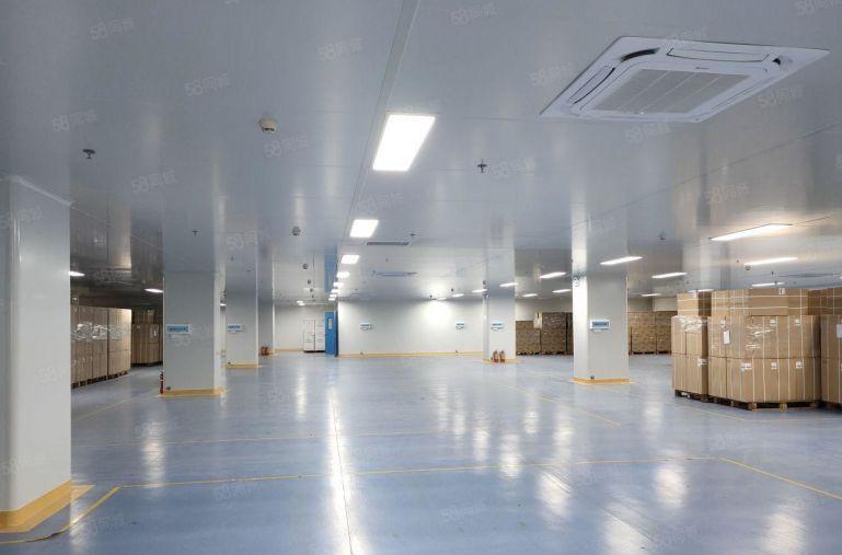 坪山高新区花园式科技园区红本厂房5000平厂房仓库出租可分租