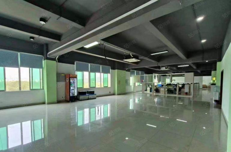 深圳坪山石井湿地公园旁厂房出租可分租现成水电装修