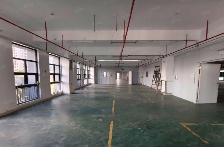坪山大工业区新出楼上厂房 1000平可分租装修已隔好看视频