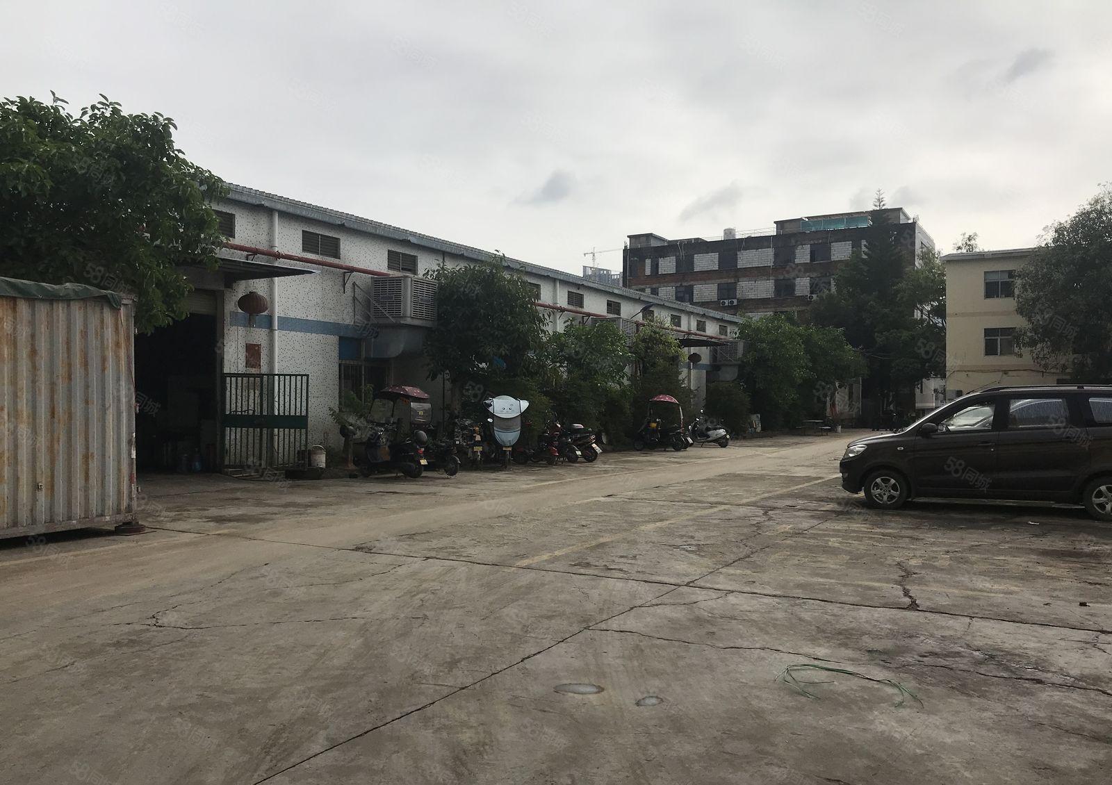 深圳坪山1400平方米，钢结构单一层厂房出租，8米高