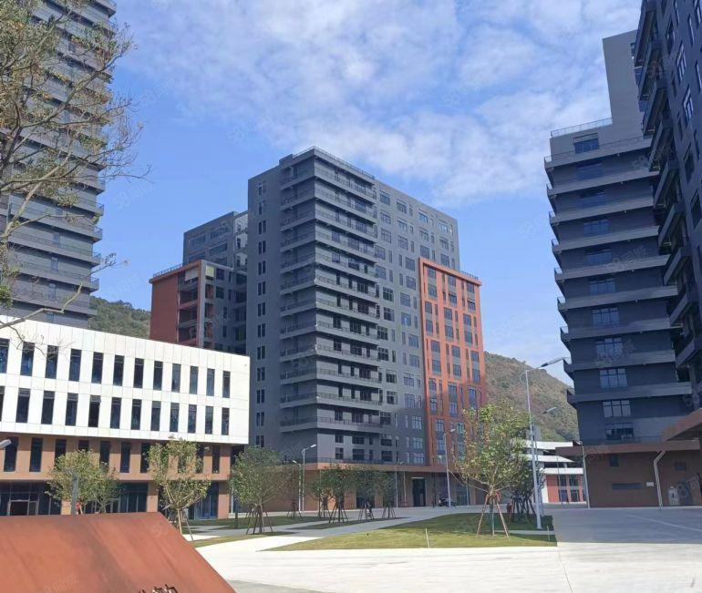 坪山生物医疗产业园5000平起租厂房共有20万平方米