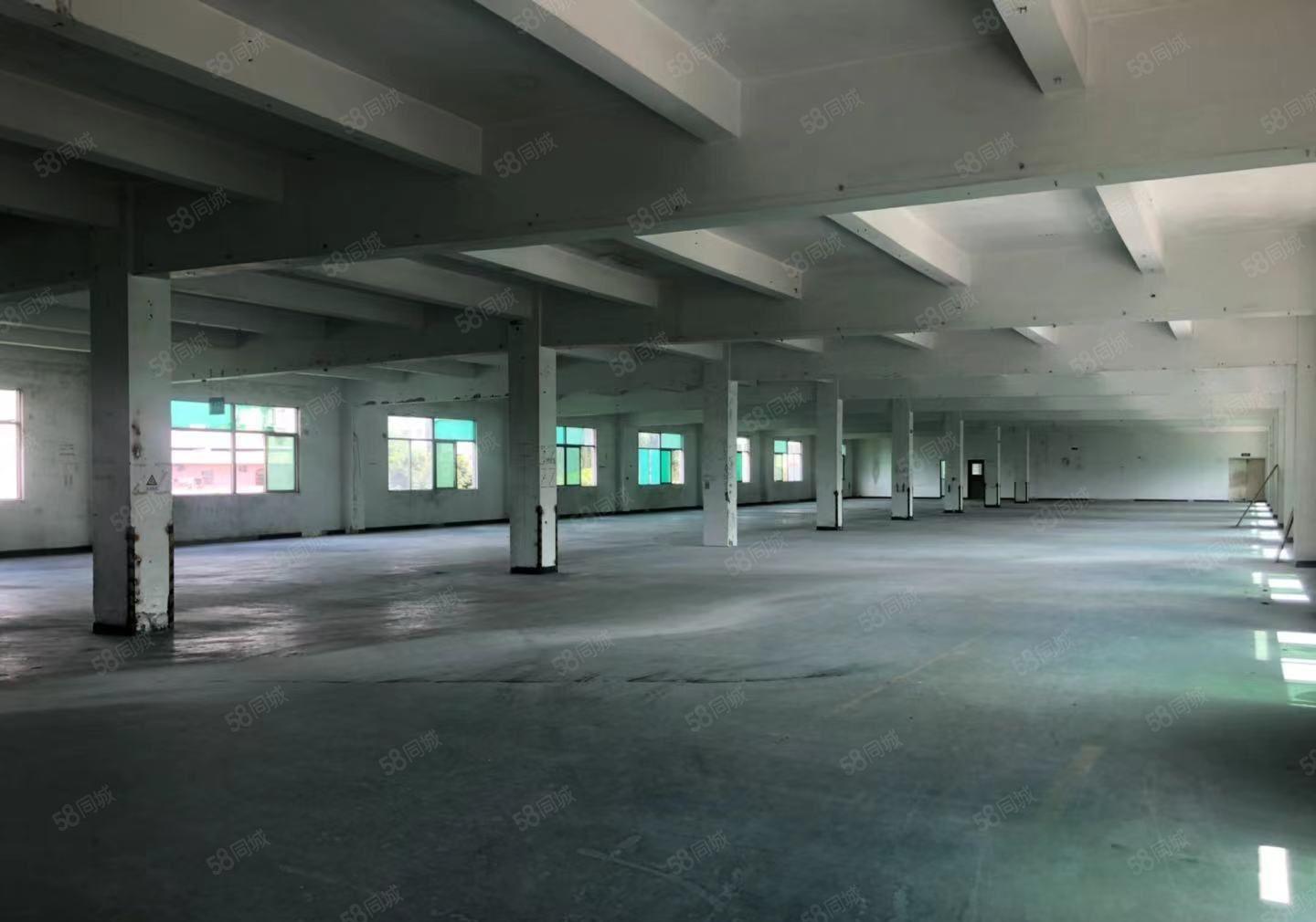 坪山区坑梓丹梓大道边新出一套独院厂房8933平米可以分租