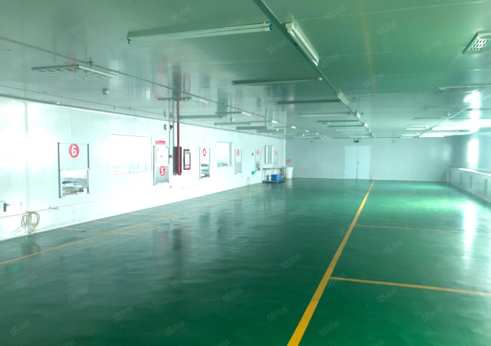 深圳20块一平无尘车间带冷冻库5400平食品加工独院厂房出租