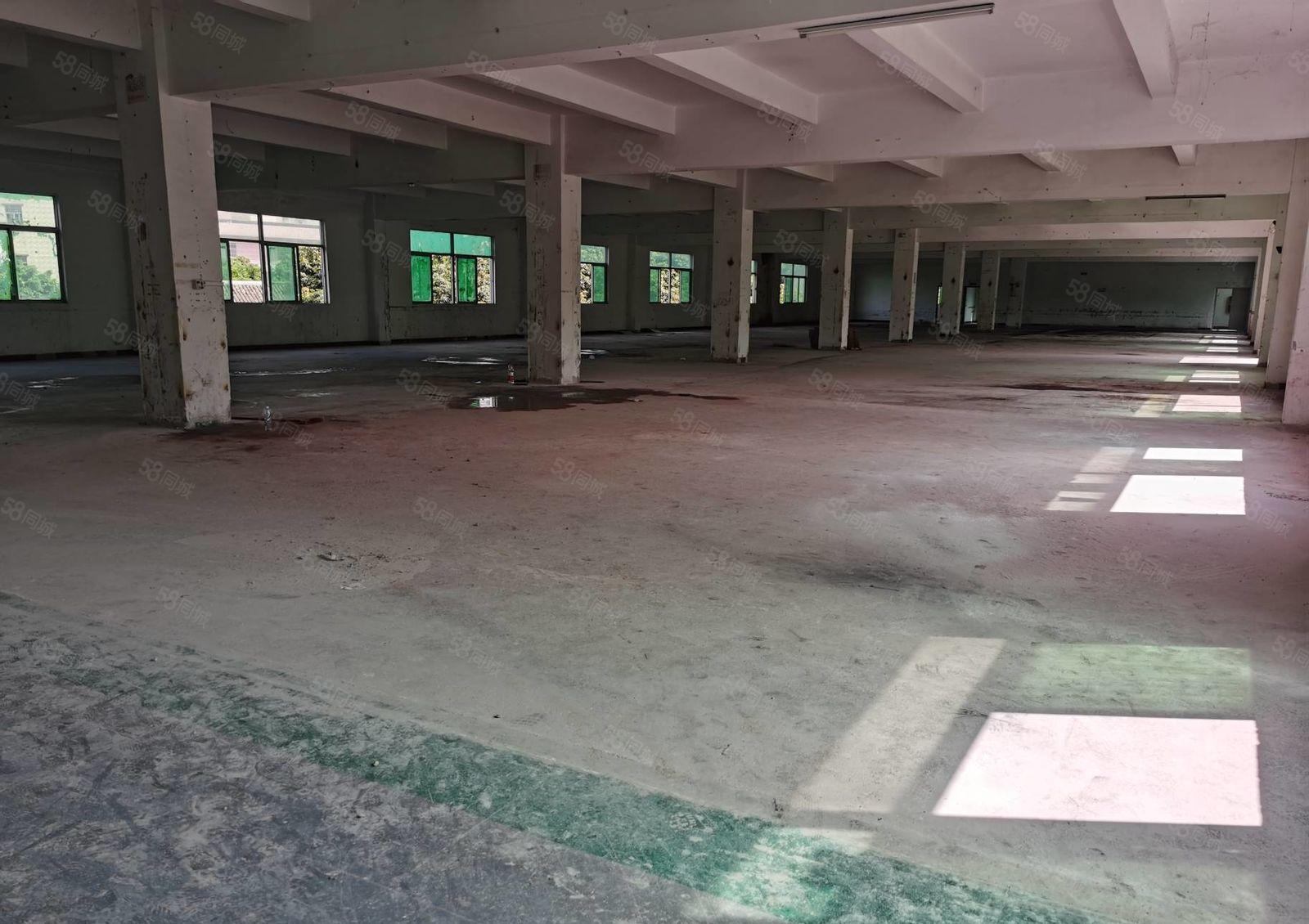 坪山新出原房东独门独院9000平厂房出租1000平起分已翻新