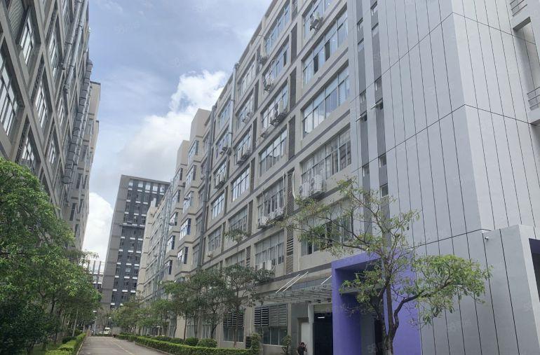 坪山大工业区300平400平500平精装修厂房办公室低价出租