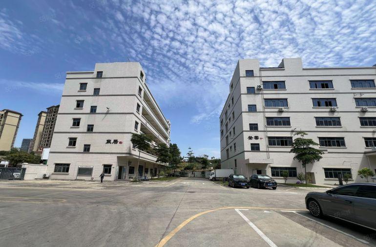 14元易招工带红本村委直租坪山高新产业园500平仓库厂房出租