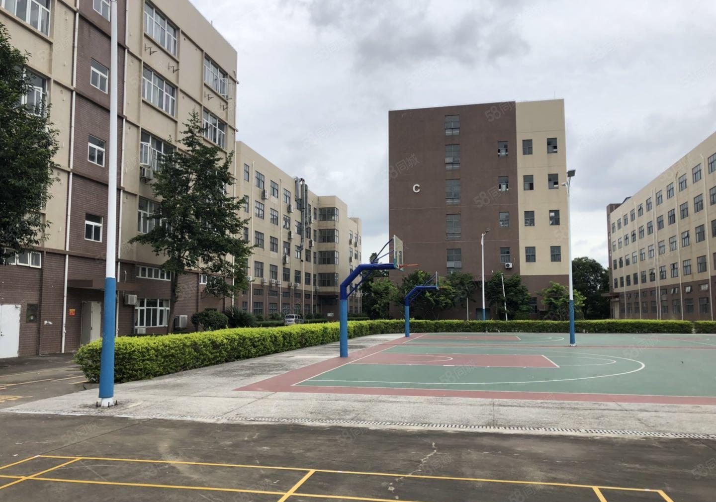 合同8年免租期60天坪山工业区新出2楼3000平厂房仓库招租