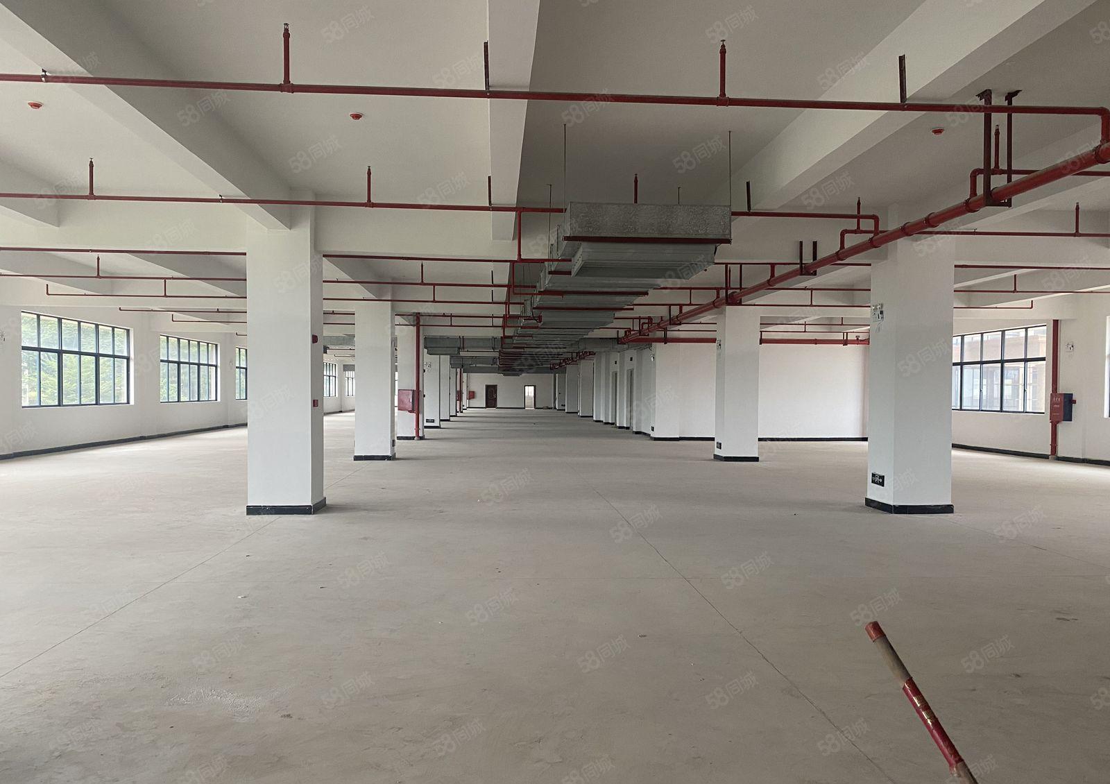 坪山中心区原房东红本重工业单层3000平仓库厂房出租可分租