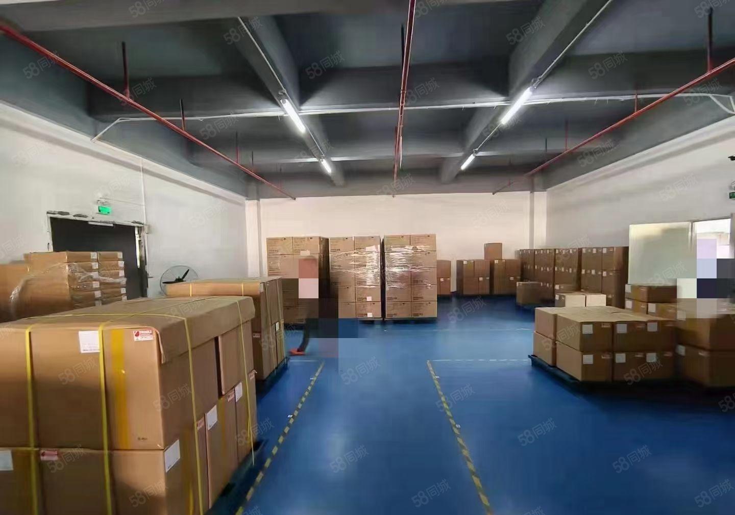 免租期三个月坪山大道原房东红本厂房二楼1300平精装带办公