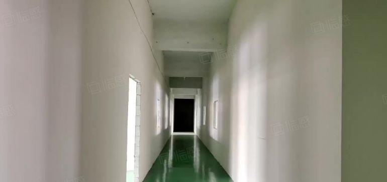 200平起分租坪山金田路石井地铁口独院二楼900平高4.2米