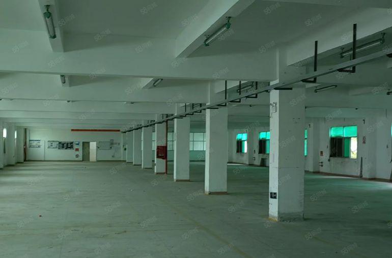 坑梓独院整栋厂房宿舍大路边高速旁付五层宿舍