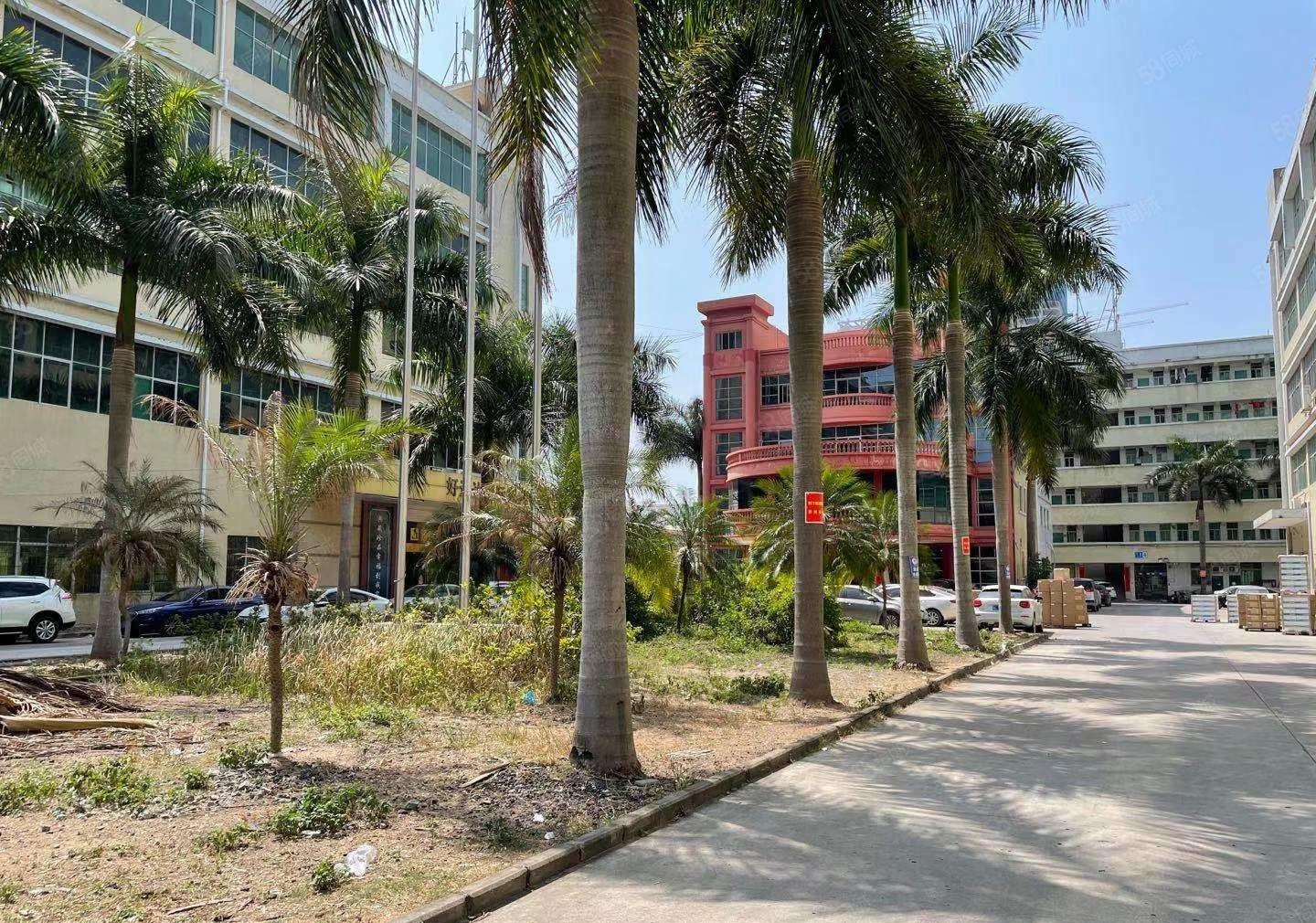 坪山大工业区地铁口原房东红本厂房出租15层可分租实际面积租