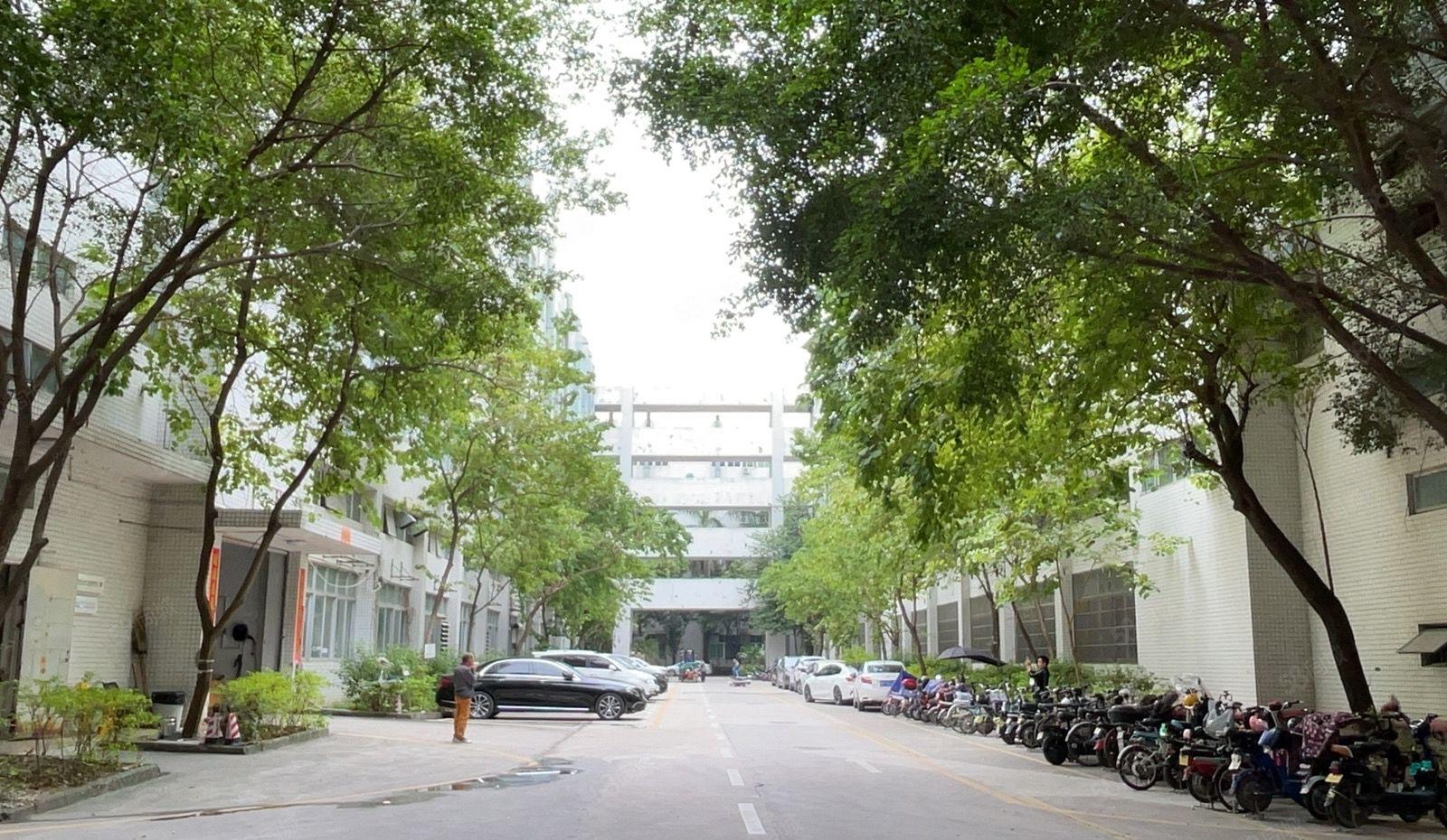 业主直租！坪山大工业区7500平独栋厂房出租 带精装修