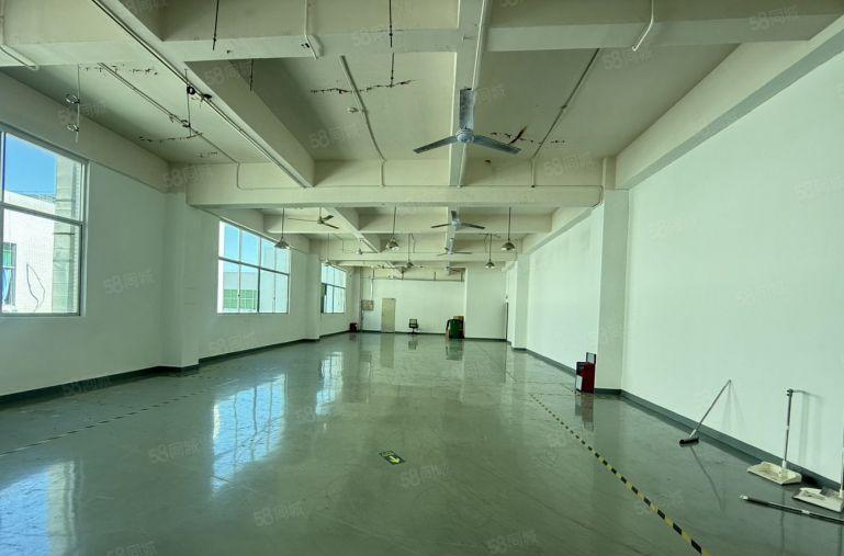 坪山大工业区厂房出租3000平方精装带无尘车间医疗生物新能源