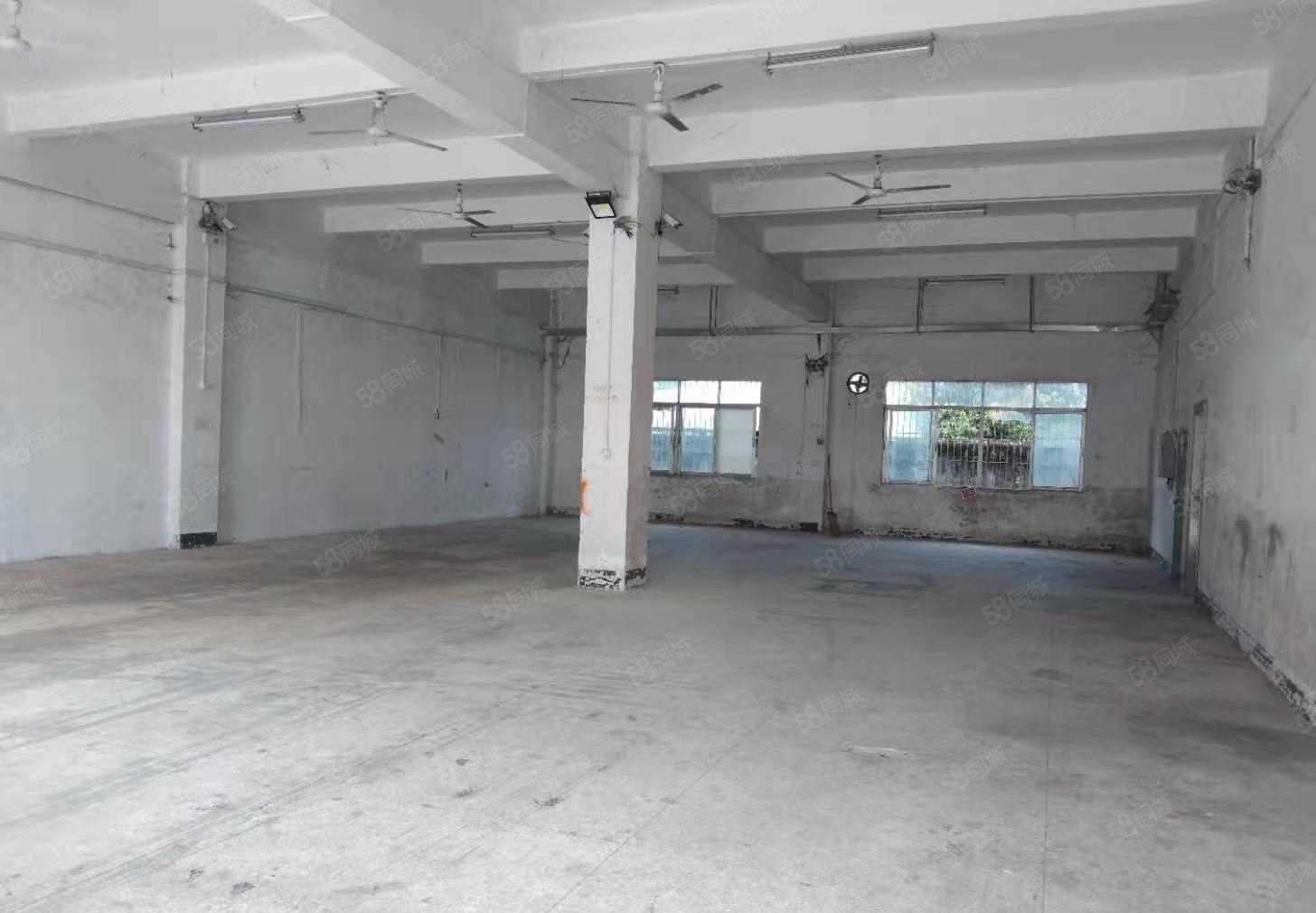 坪山碧岭一楼26元500平层高4.5米厂房空地超大