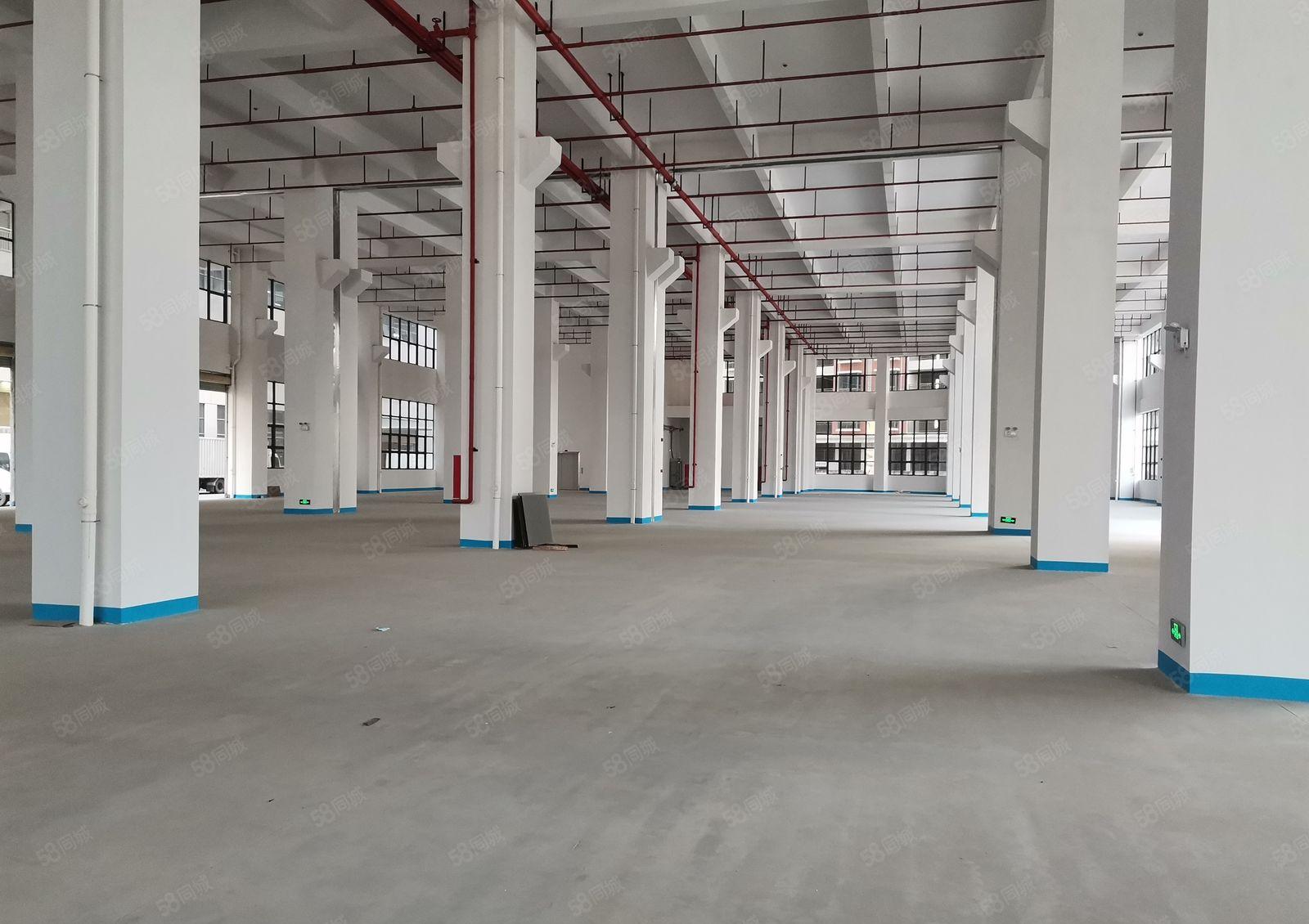 深圳市坪山区一楼11米高红本厂房出租，一楼4500平方米