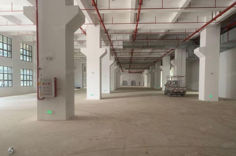 坪山比亚迪附近原房东500平米带牛角红本五金仓库研发厂房出租