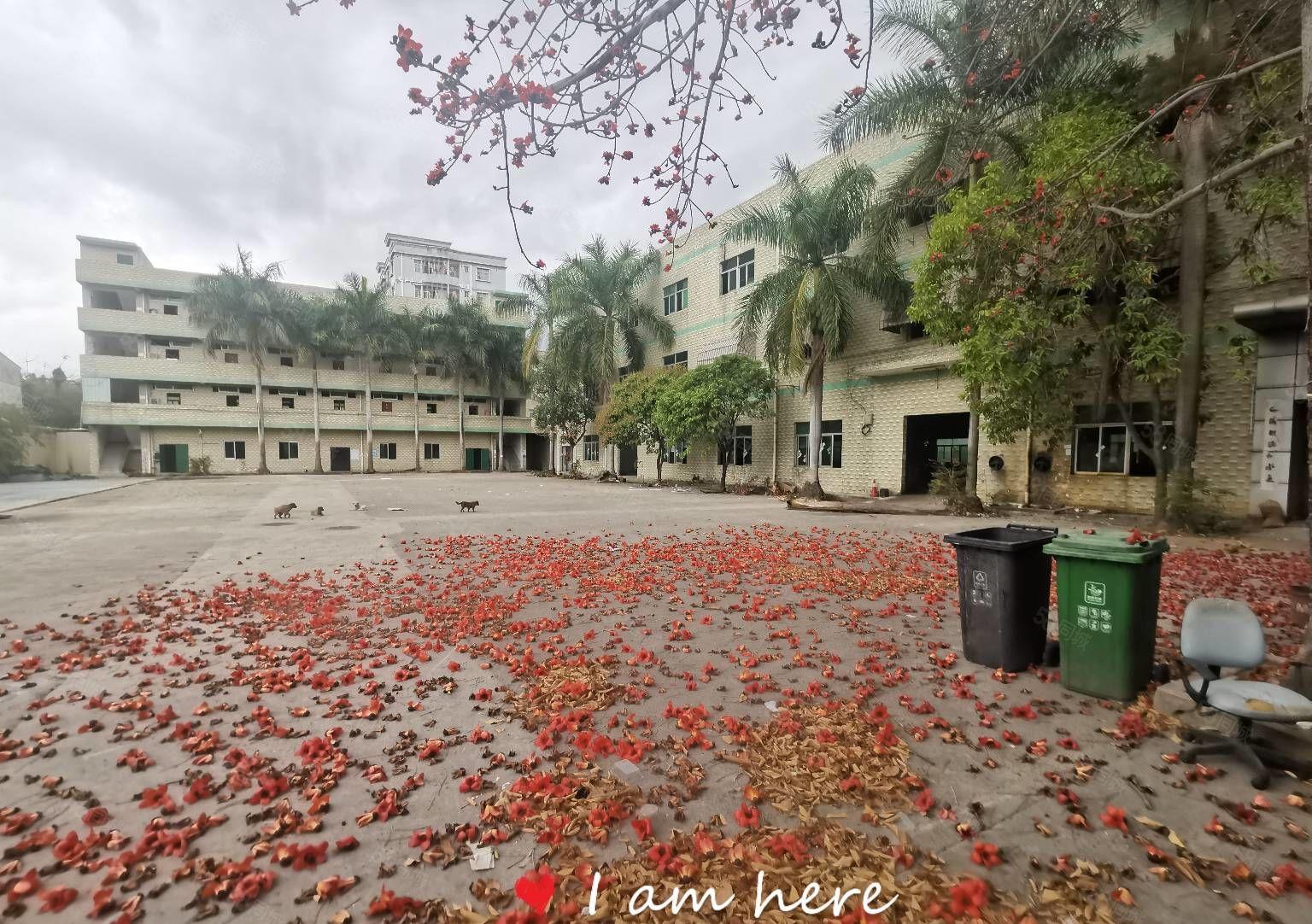 500平起分租！坪山原房东6720平红本独院厂房出租8年合同