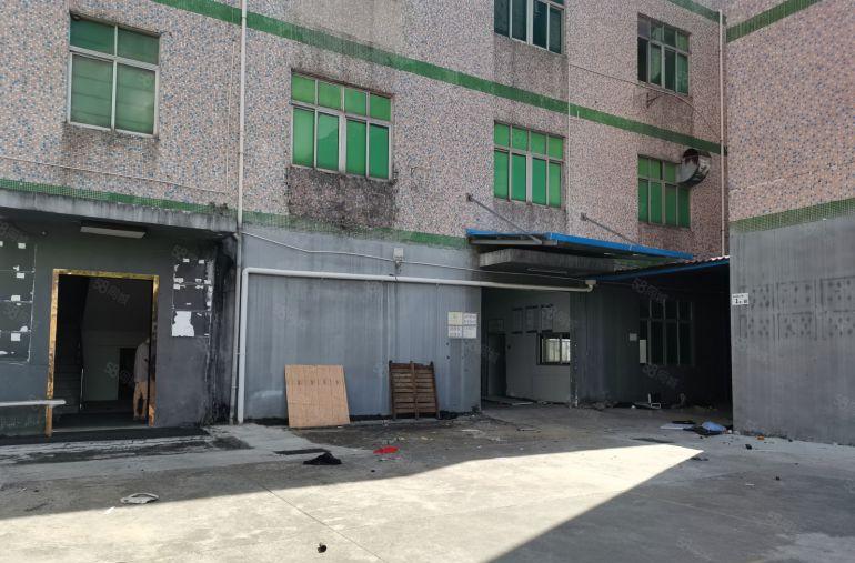 出租坪山工业区1000平标准厂房出租仓库招租300平起分租