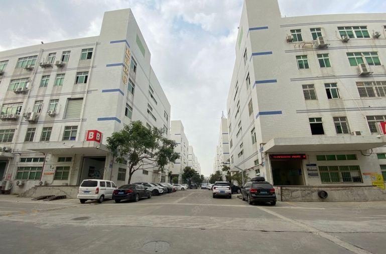 一手房东直租带红本坪山成熟工业区1500平精装办公厂房出租