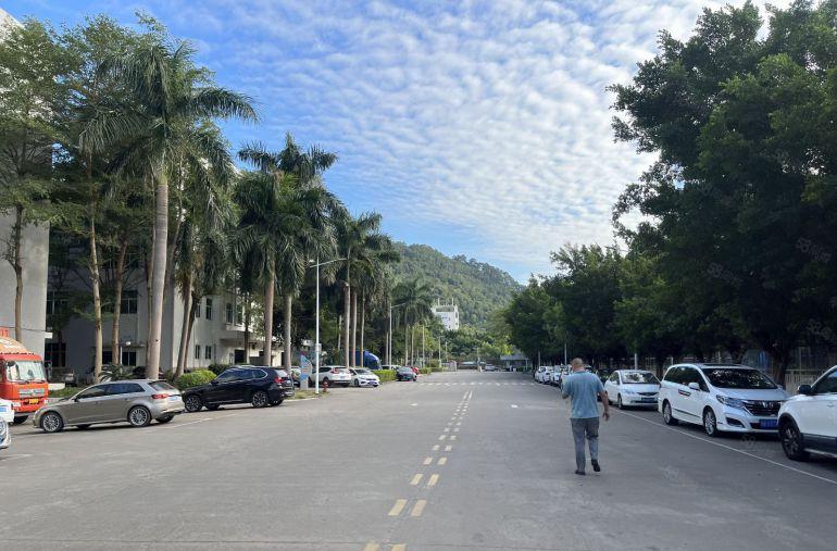 坑梓龙田街道一二楼各1000平现成装修办公室仓库厂房出租