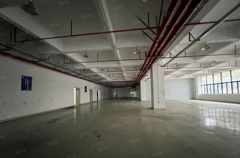 坪山大工业区4万平米独院厂房1800平米单层起租一楼6米高