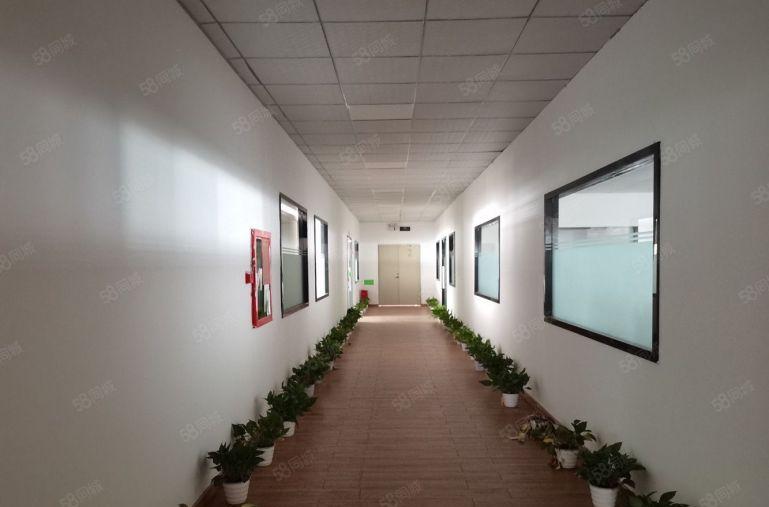 急租！坪山坑梓3000平独门独院红本厂房实际面积出租可分租