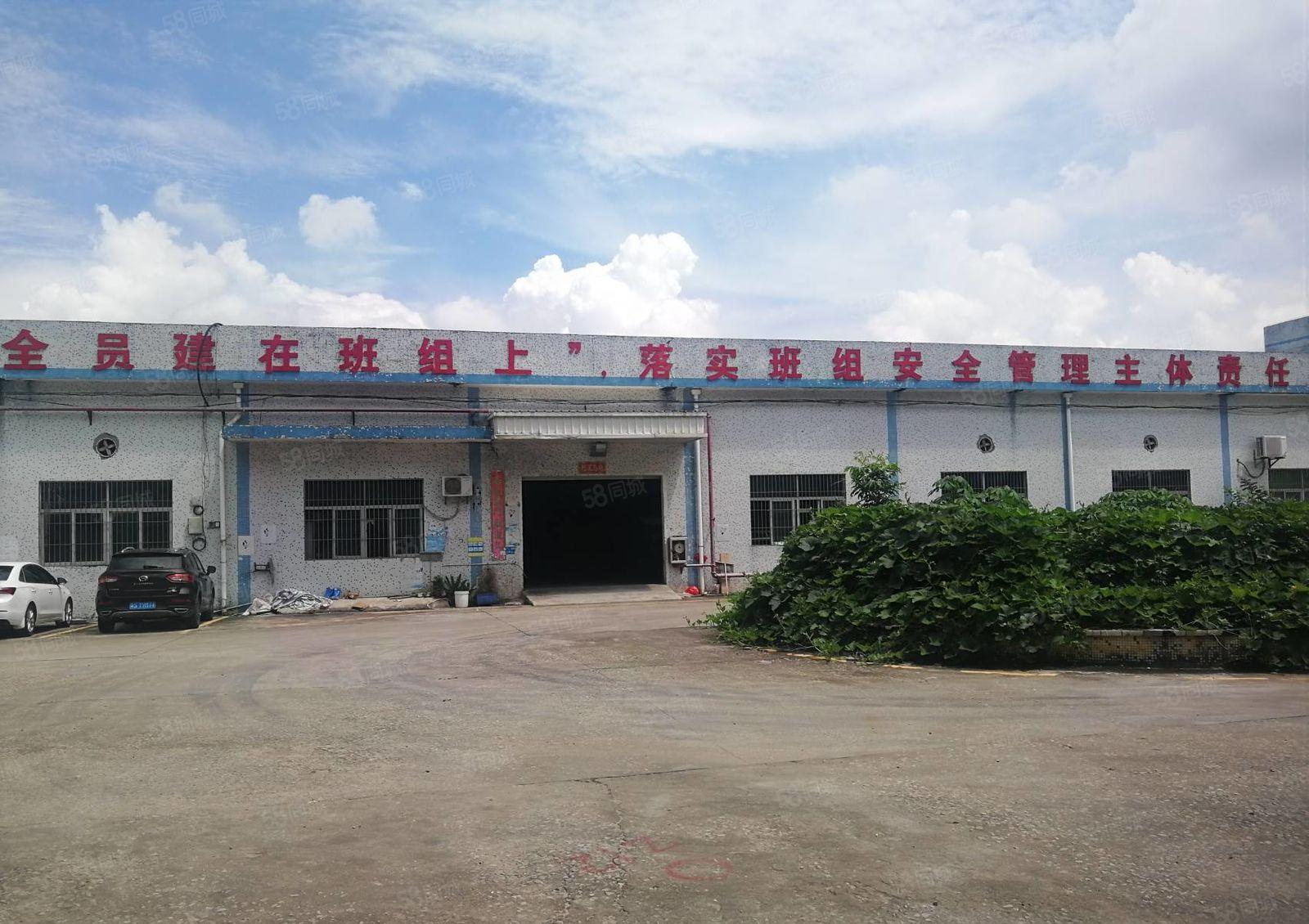 200平起分租坪山石井原房东独院一楼厂房出租1000平空地