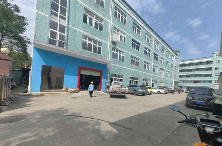 合同十年院子大坪山坑梓原房东独院5000平厂房仓库出租可分租