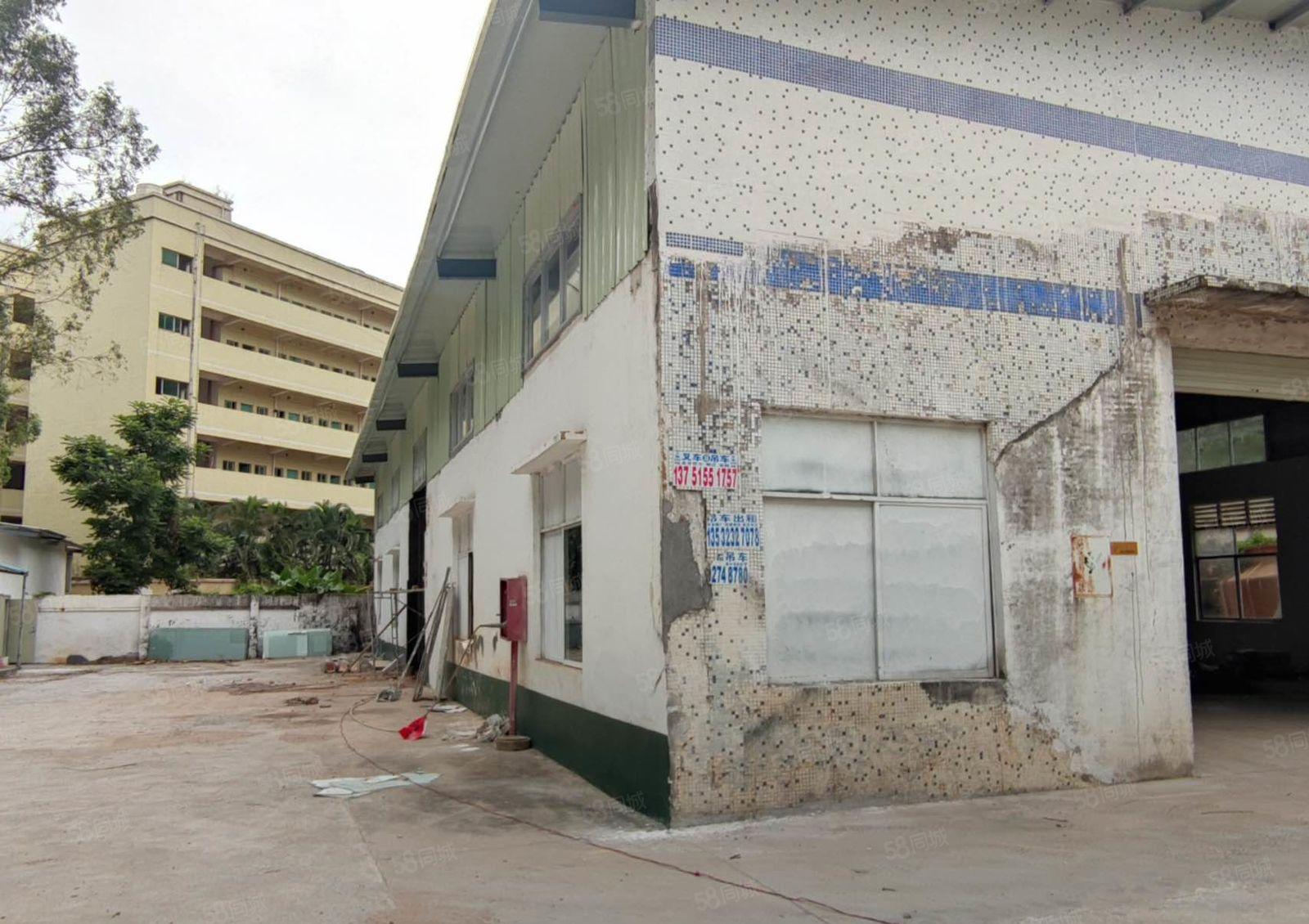 龙岗坪地年丰厂房类型钢构厂房面积总面积8000可分