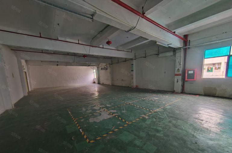 坪山地铁口新出厂房1200平米有地坪漆带办公室