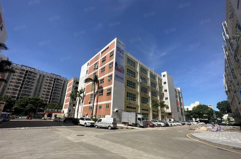 坪山竹坑原房东大型科技园3楼500平带装修办公仓库厂房出租