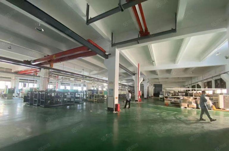 坪山中心区原房东一楼2000平方高6米实际面积厂房仓库出租