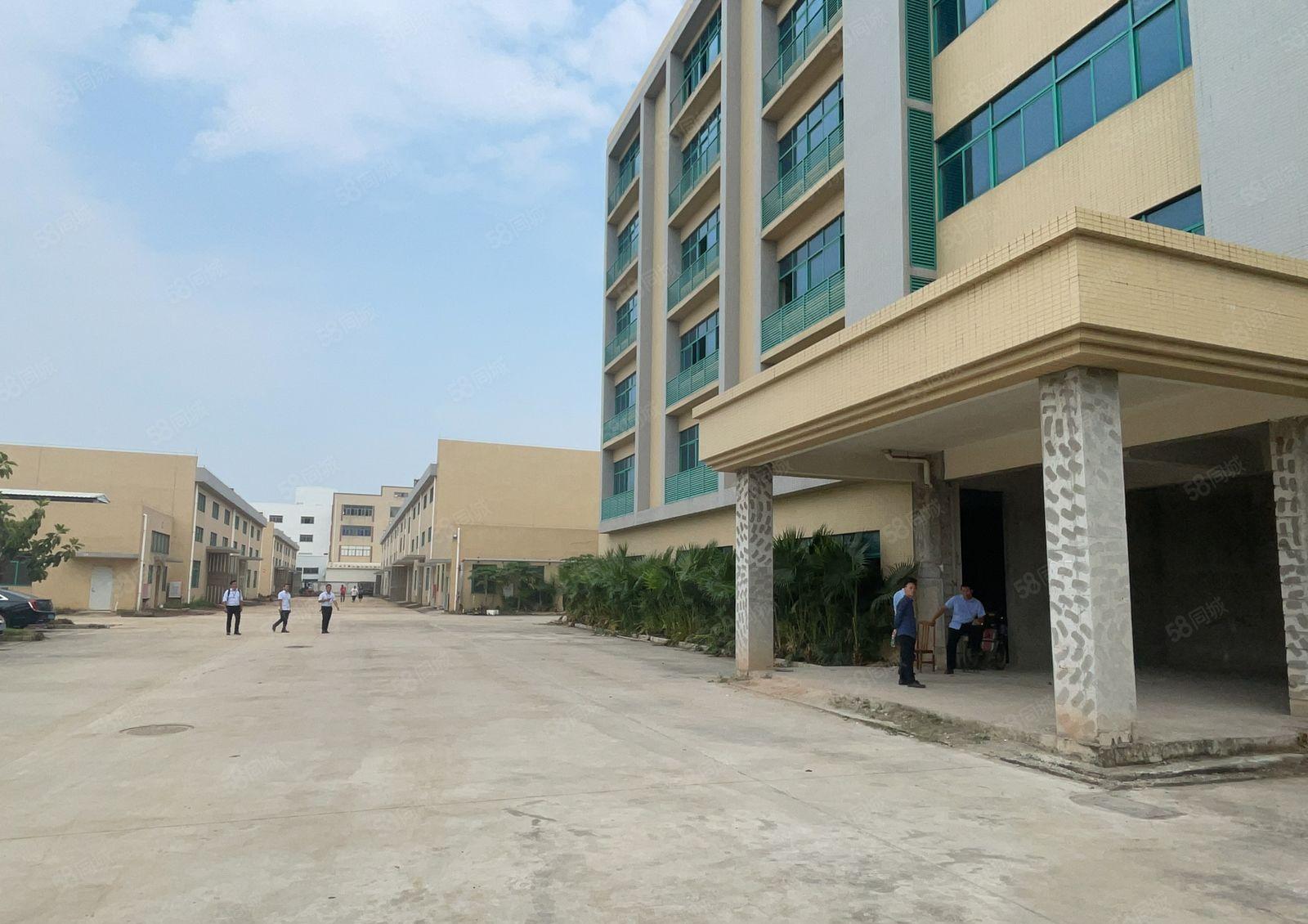 坪山独栋大型工业园红本3栋2万平分租300平起租仓库厂房出租