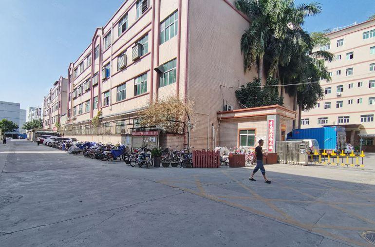 坪山新出原房东红本独门独院厂房出租10000平，仓库可分租