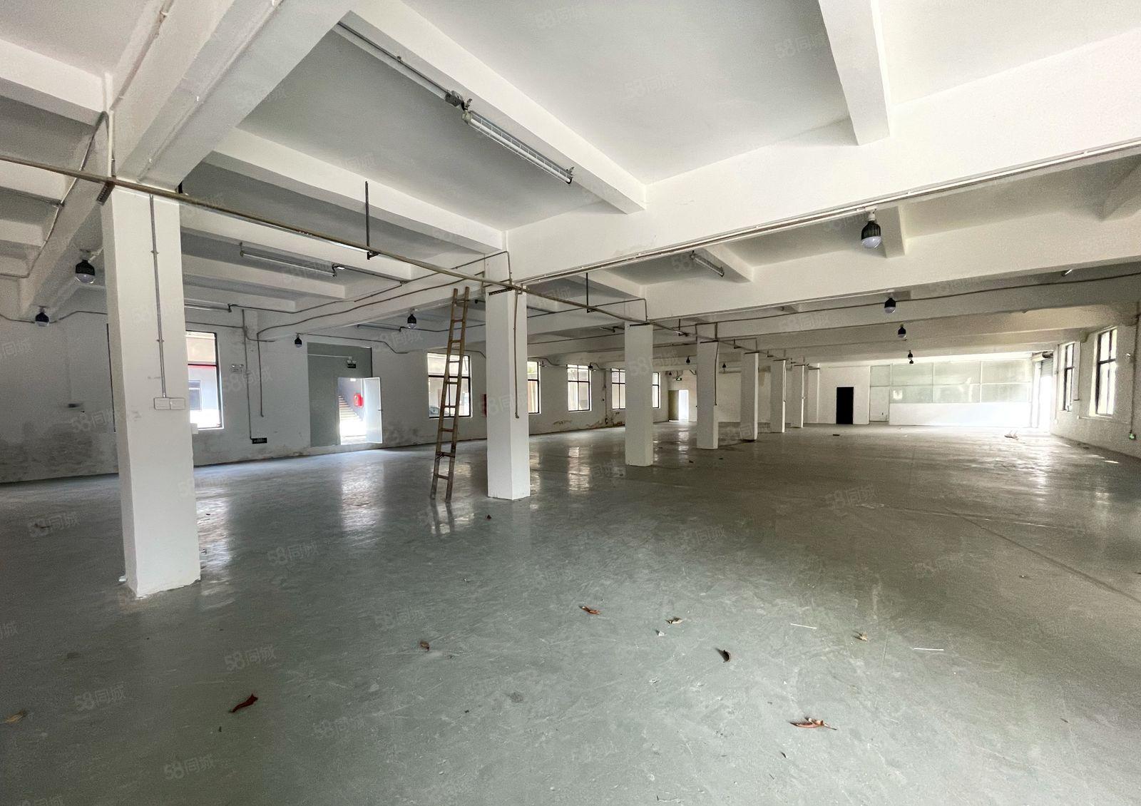 坪山精装修独门独院5200平方出租水电齐全现成车间办公室