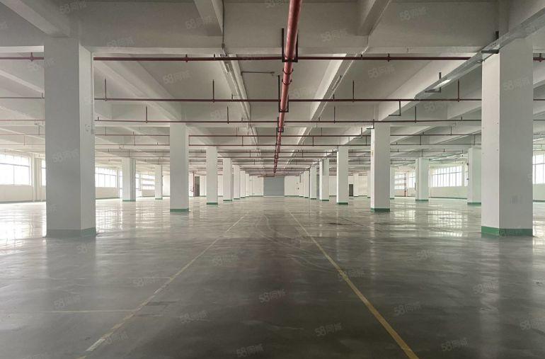 现成水电 大工业区楼上4000平精装修现成办公室厂房低价出租