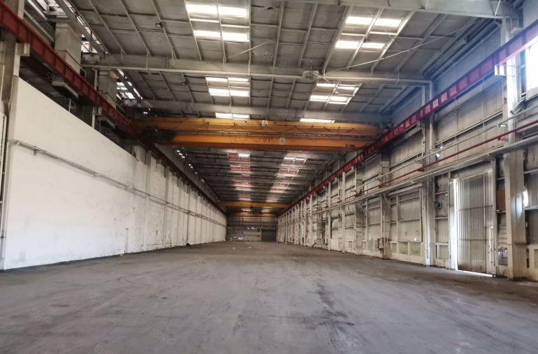 深圳市坪山区9米高钢结构厂房出租，每栋2950平米，形象好