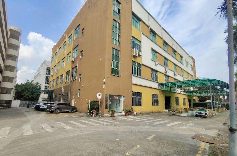 坑梓原房东实际面积500至11000平厂房仓库出租精装办公室