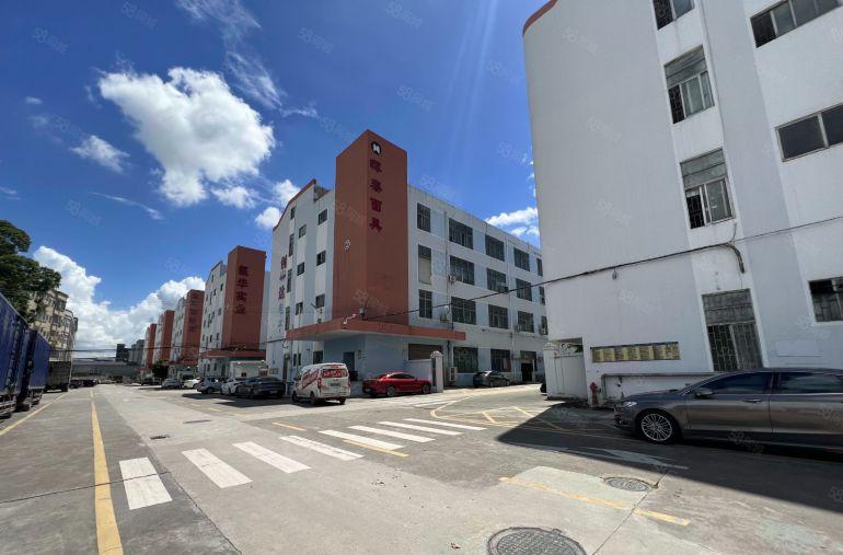 空地超大村委厂房直租坪山科技园一楼600平带装修仓库厂房出租