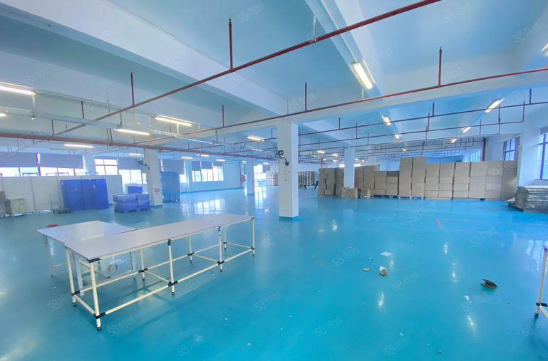 坪山高新工业园区带装修厂房独门独院仓库出租办公研发生产有补贴