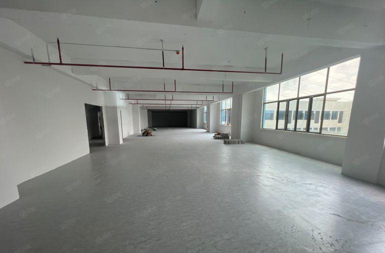 深圳市坪山区生物医疗产业园单层2000平红本村委厂房低价出租