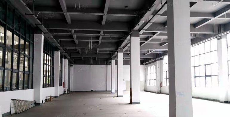 坪山碧岭附近标准厂房一楼850平方米