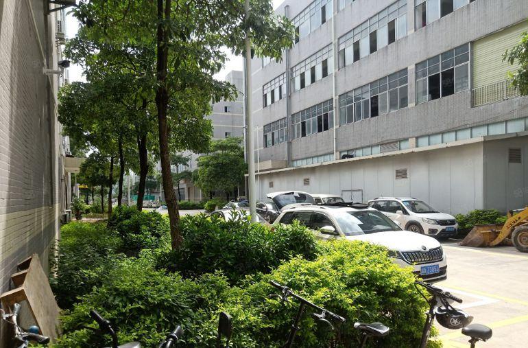 18块低价起租坪山比亚迪工业园区一楼1000平工业厂房出租