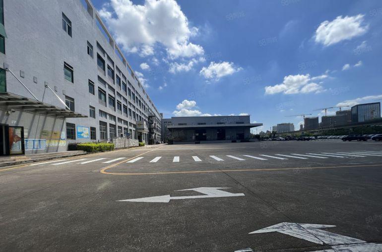 坑梓主干道原房东一楼厂房2500平方仓库出租带卸货平台空地大