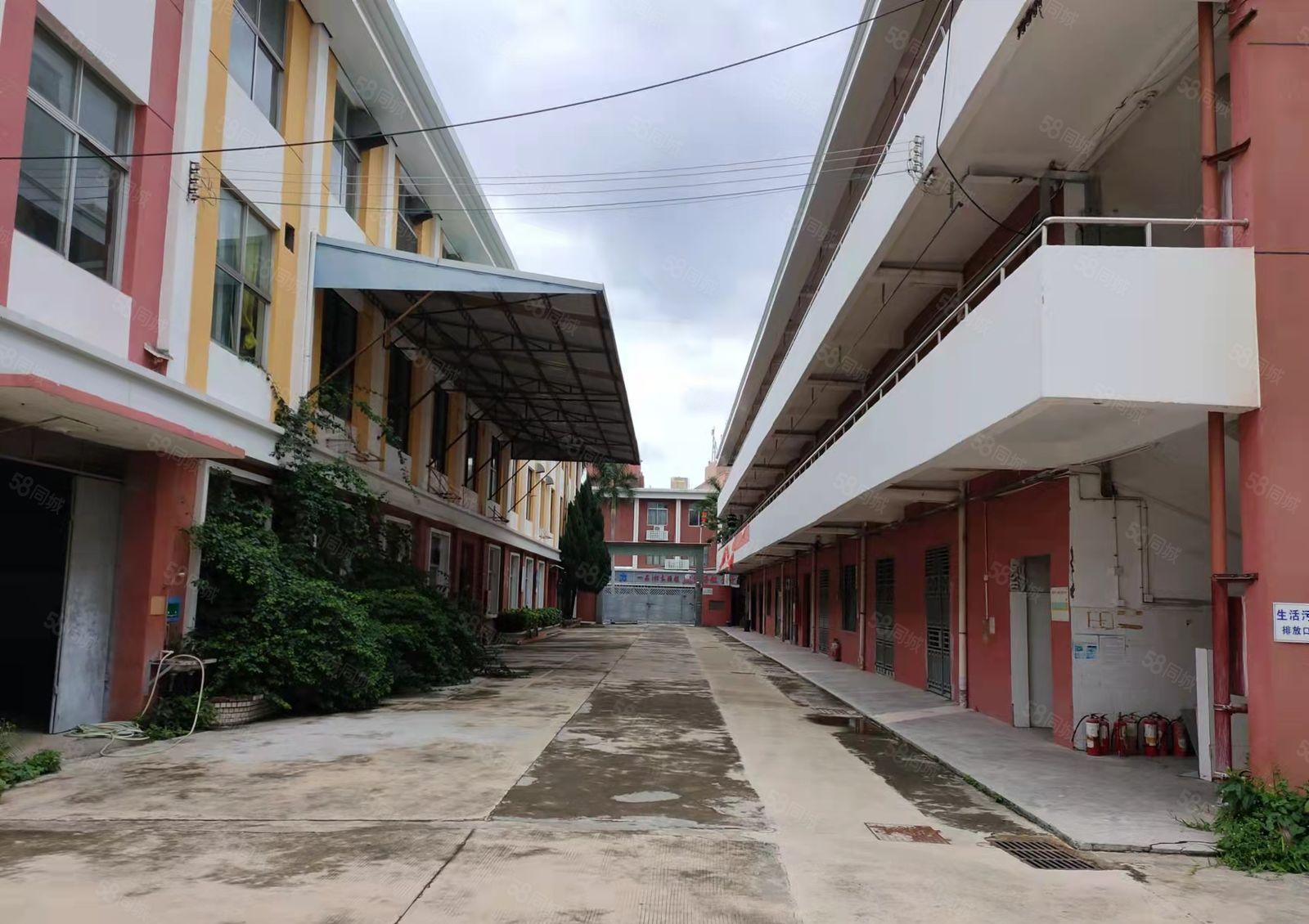 300平起租坪山坑梓秀新原房东精装修可办公厂房仓库出租