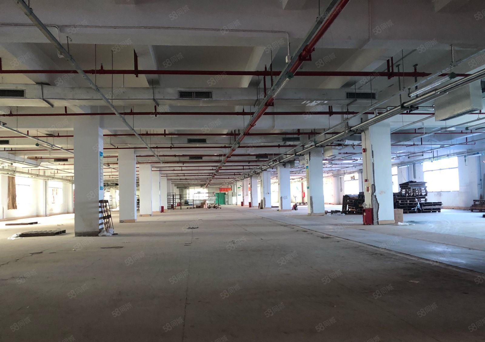 300平起分租坪山金牛西路原房东5000平红本厂房出租