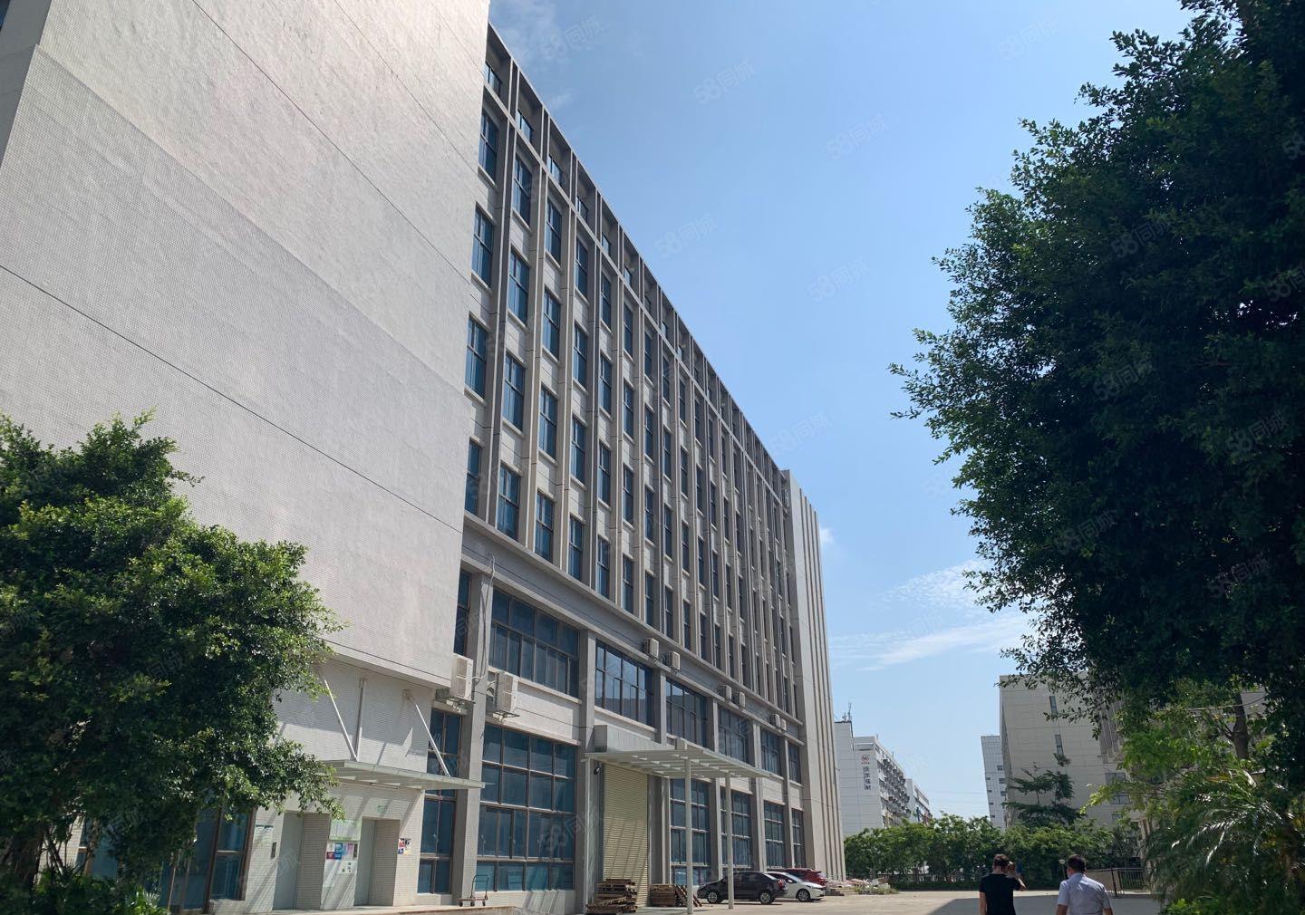 享政策补贴！坪山医疗产业园楼上2000平厂房仓库出租可分租